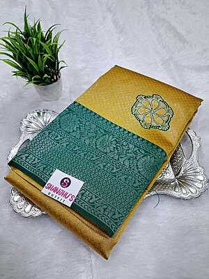 Kanchi Silver Silk Saree 4