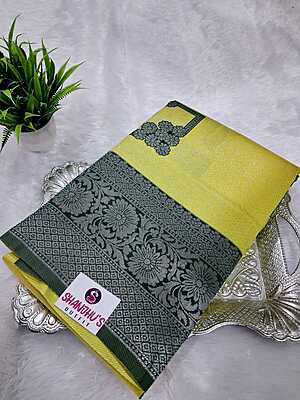 Kanchi Silver Silk Saree 8