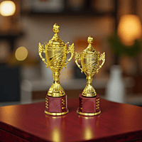 RC-CP2012K H 24CM
