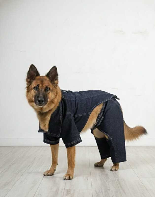 Denim Winter Jacket and Pant Combo