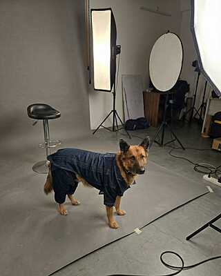 Denim Winter Jacket and Pant Combo