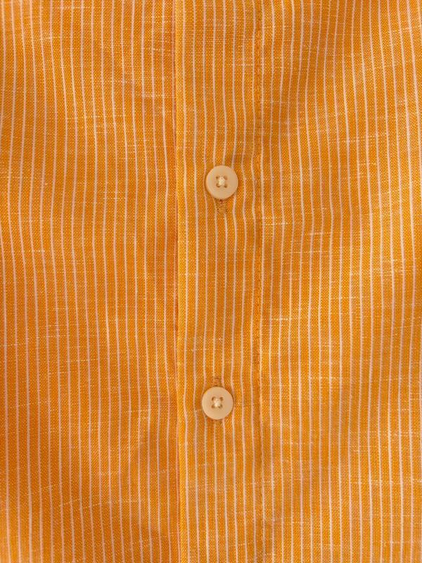 Ripe mango striped mandarin