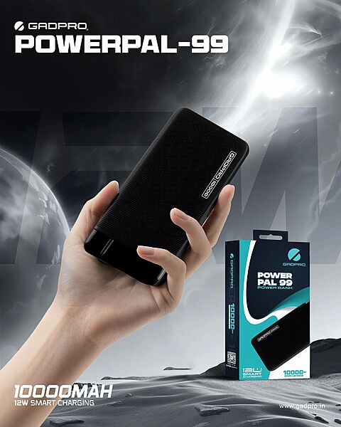POWER BANK GADPRO 10000 MAH PAL-99