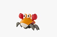 MUSICAL CRAB
