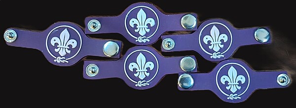 Woggle Silicon Wosme 5pk