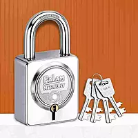 (2011) Palam Padlock 71mm Mercury