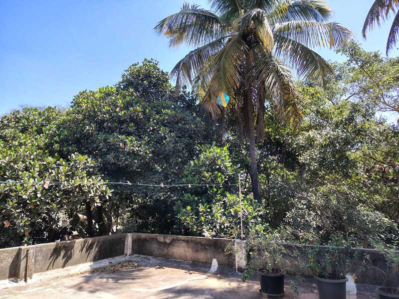 Tsubaki's Kalebeedu Wilson Gardens Bangalore