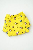 Padded Underwear (Pack of 3) – Snug Fit | Assorted Designs