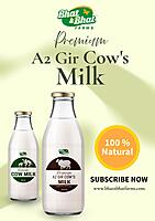 A2 Gir Cow Milk-500 Ml