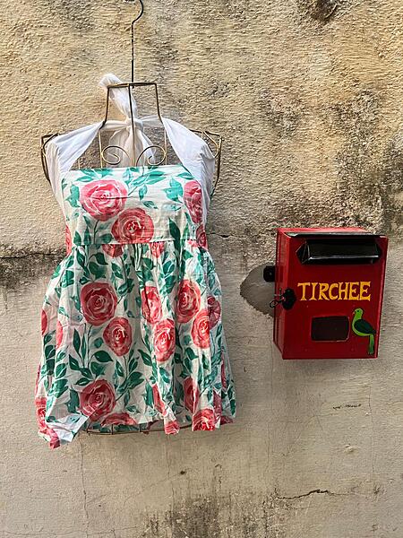 Naila's Halter Neck Tube Top - White & Roses