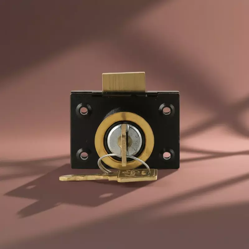 9350 Godrej Multipurpose Lock (MRP 230 /-)