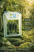 Hybrid Bitter Gourd TG-Optima