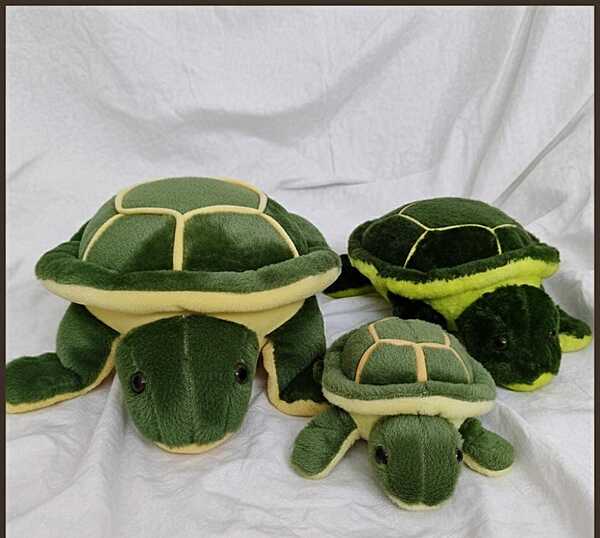 Tortoise