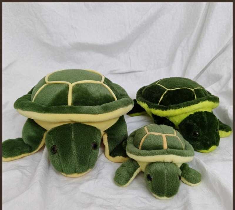 Tortoise