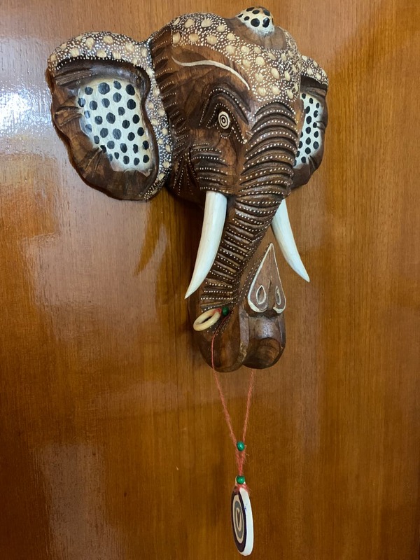 The Gentle Giant's Elephantastic Home