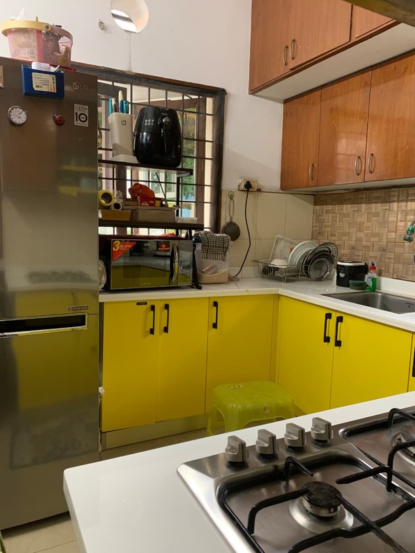 The Gentle Giant's Elephantastic Home