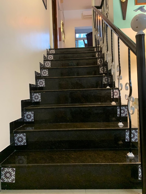 The Gentle Giant's Elephantastic Home