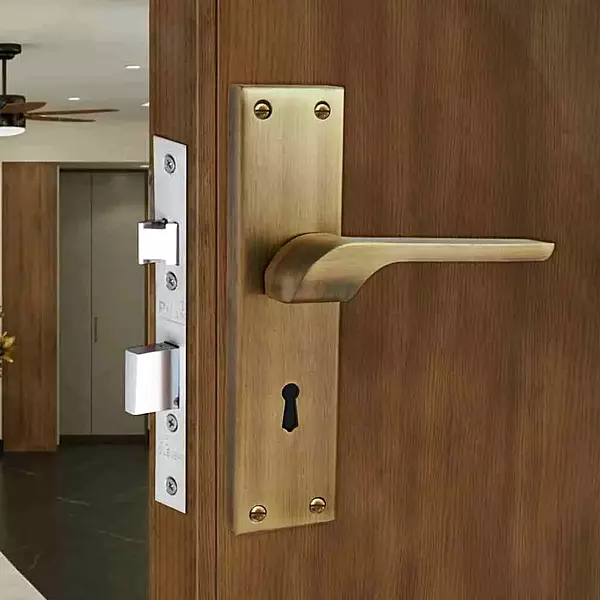 (3304) Palam Mortise Handle Set Tesla ANTQ