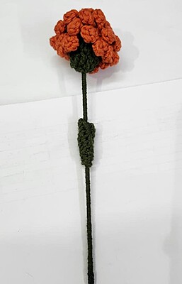 Merigold Small Flower