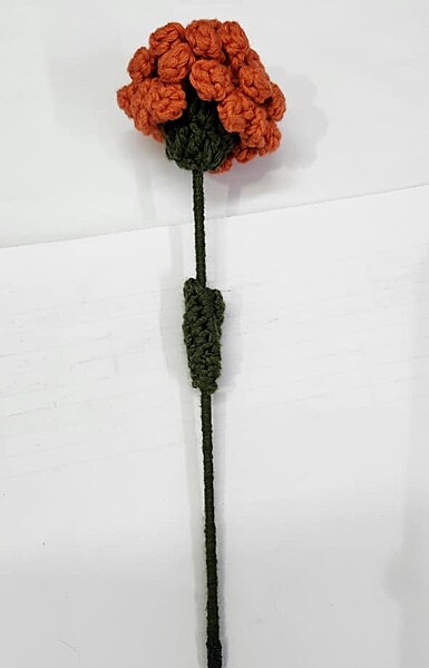 Merigold Small Flower