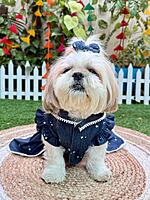 Printed Denim Frock