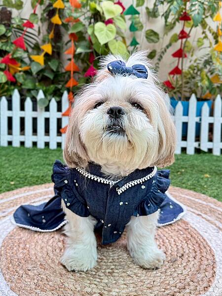 Printed Denim Frock