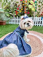 Printed Denim Frock