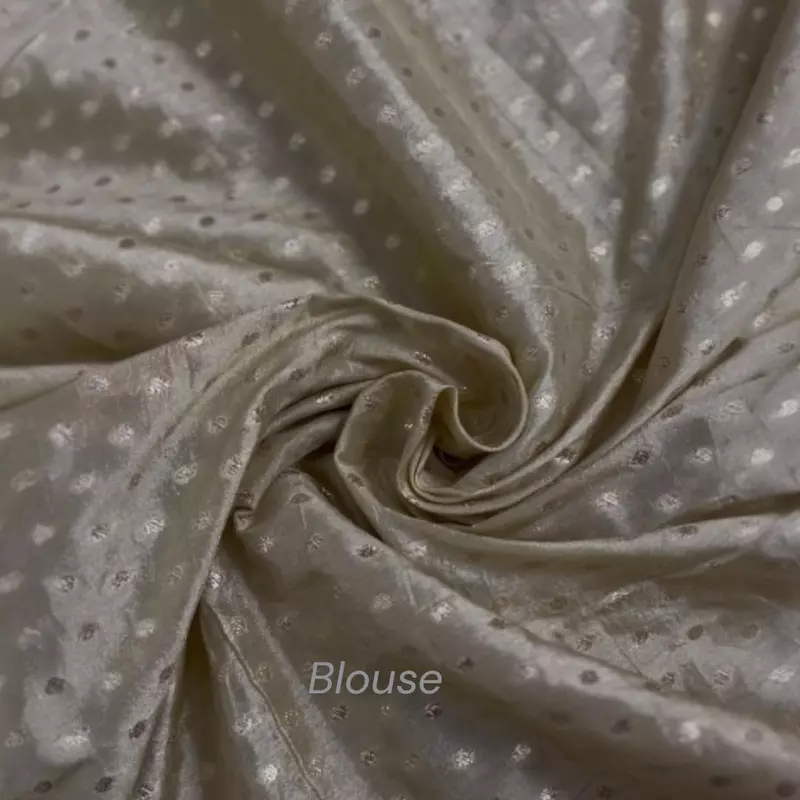Ethereal Elegance Organza Saree