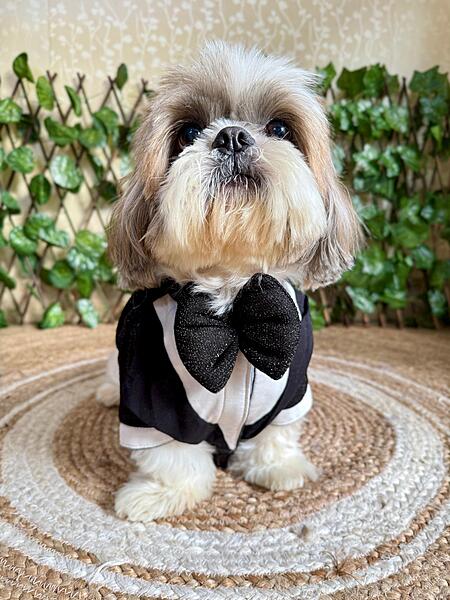 Black Shimmer Tuxedo