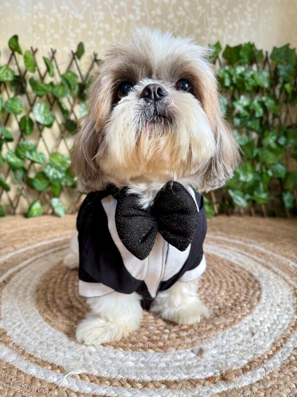 Black Shimmer Tuxedo