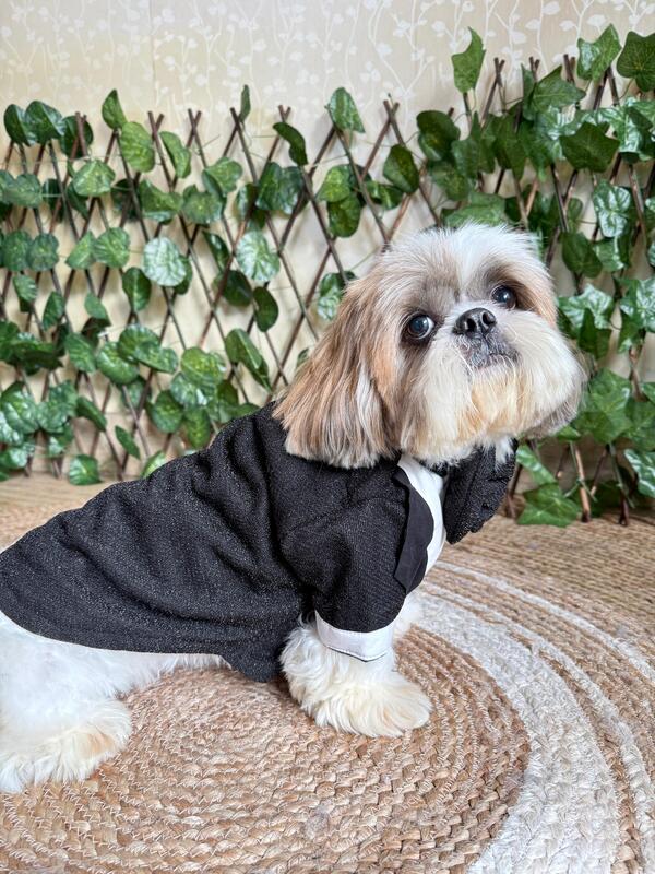 Black Shimmer Tuxedo