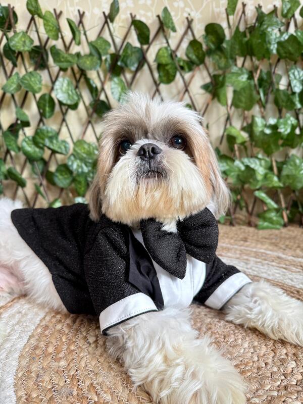 Black Shimmer Tuxedo