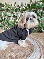 Black Shimmer Tuxedo