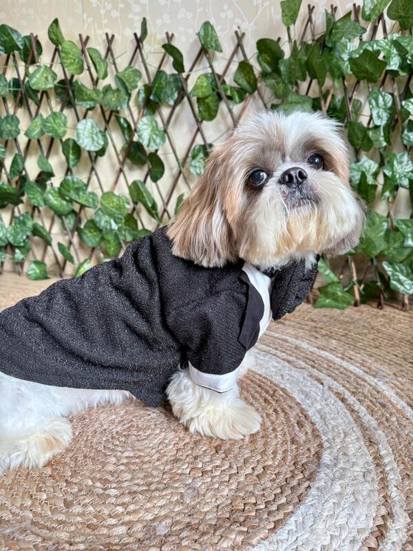 Black Shimmer Tuxedo