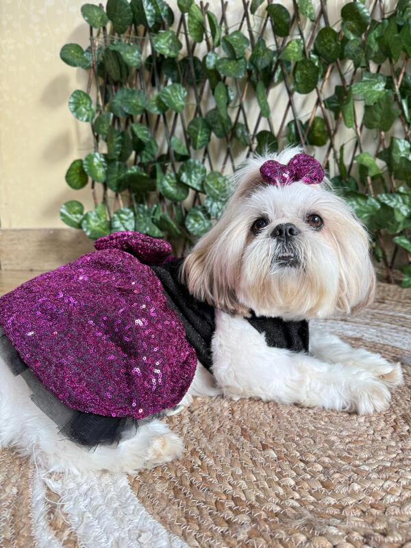 Purple Black Bling Bow Dress
