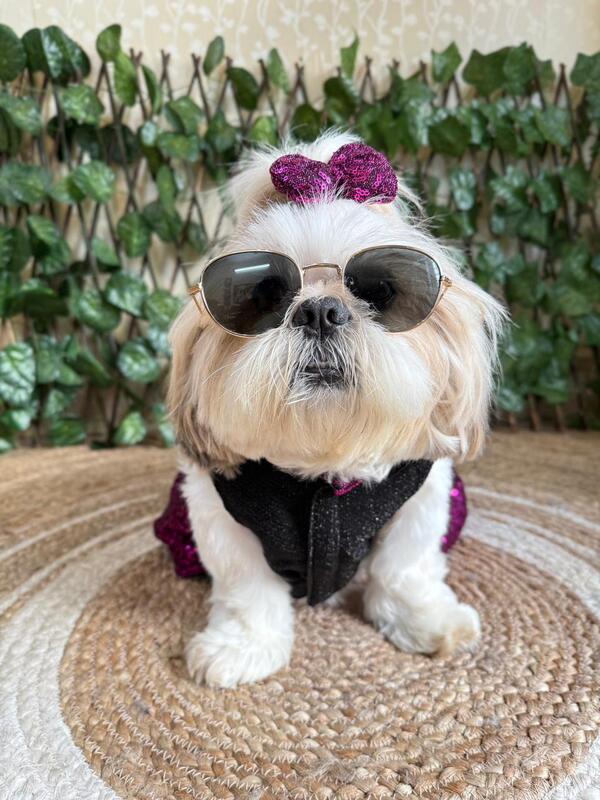 Purple Black Bling Bow Dress