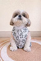 Panda Shirt