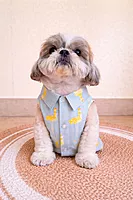 Ducky Charm Shirt