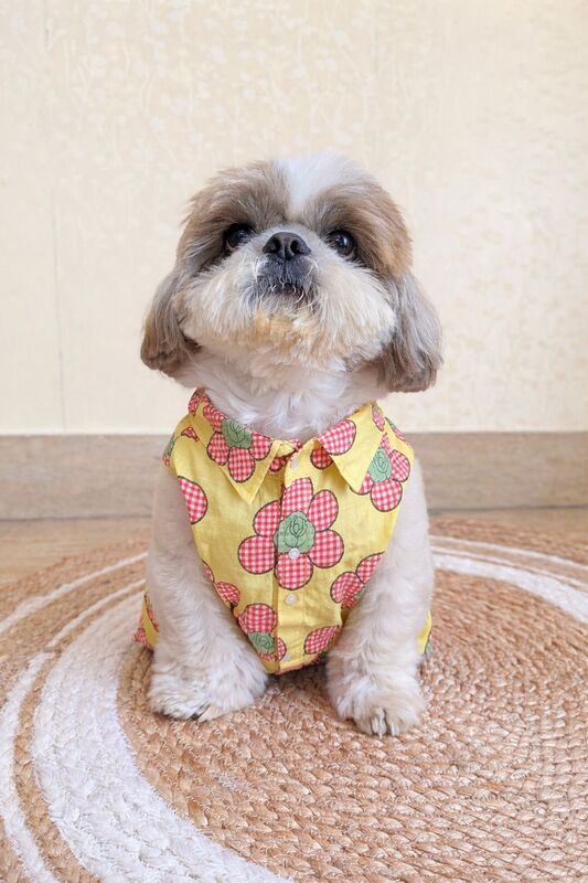 Yellow Sunflower Bloom Shirt