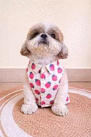 Strawberry Shirt