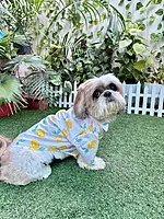 Lemon Summer Shirt