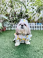 Lemon Summer Frock