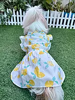 Lemon Summer Frock