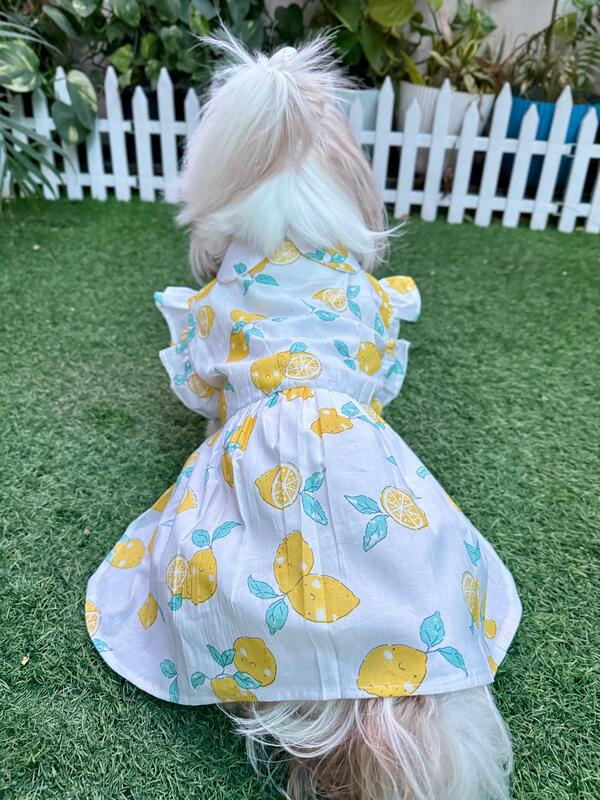 Lemon Summer Frock