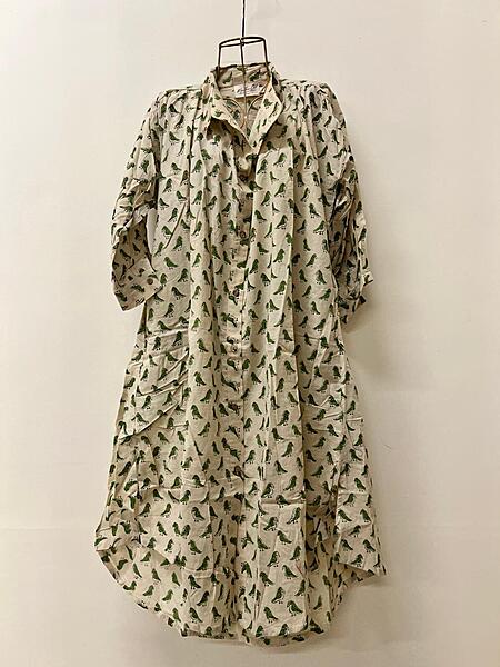 Meera's Button-Down Collared Dress - Cream & Parrots