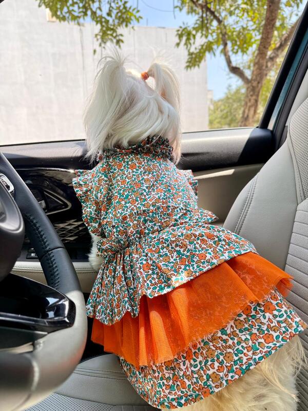 Orange Blossom Dog Dress