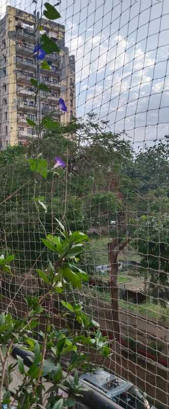 Aramya | Slow Living , Sector 88 Faridabad
