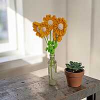 Daisy Large Flower Yellow