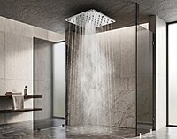 Rain + Mist (2 Function) Shower Head
