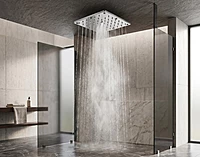 Rain + Mist (2 Function) Shower Head